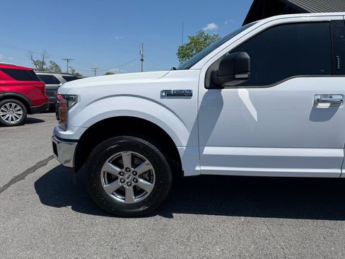 Used 2019 Ford F150 XLT w/ Equipment Group 302A Luxury AWD/4WD image 36