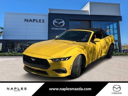Used 2024 Ford Mustang Premium image 1