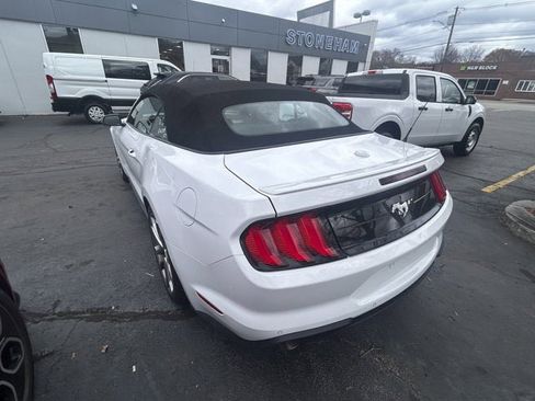 Used 2023 Ford Mustang Premium w/ Equipment Group 201A image 5