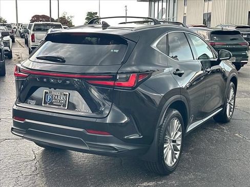 Used 2025 Lexus NX 350 AWD w/ Cold Area Package image 13