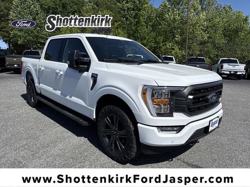 Used 2023 Ford F150 XLT w/ Equipment Group 302A High AWD/4WD image 1