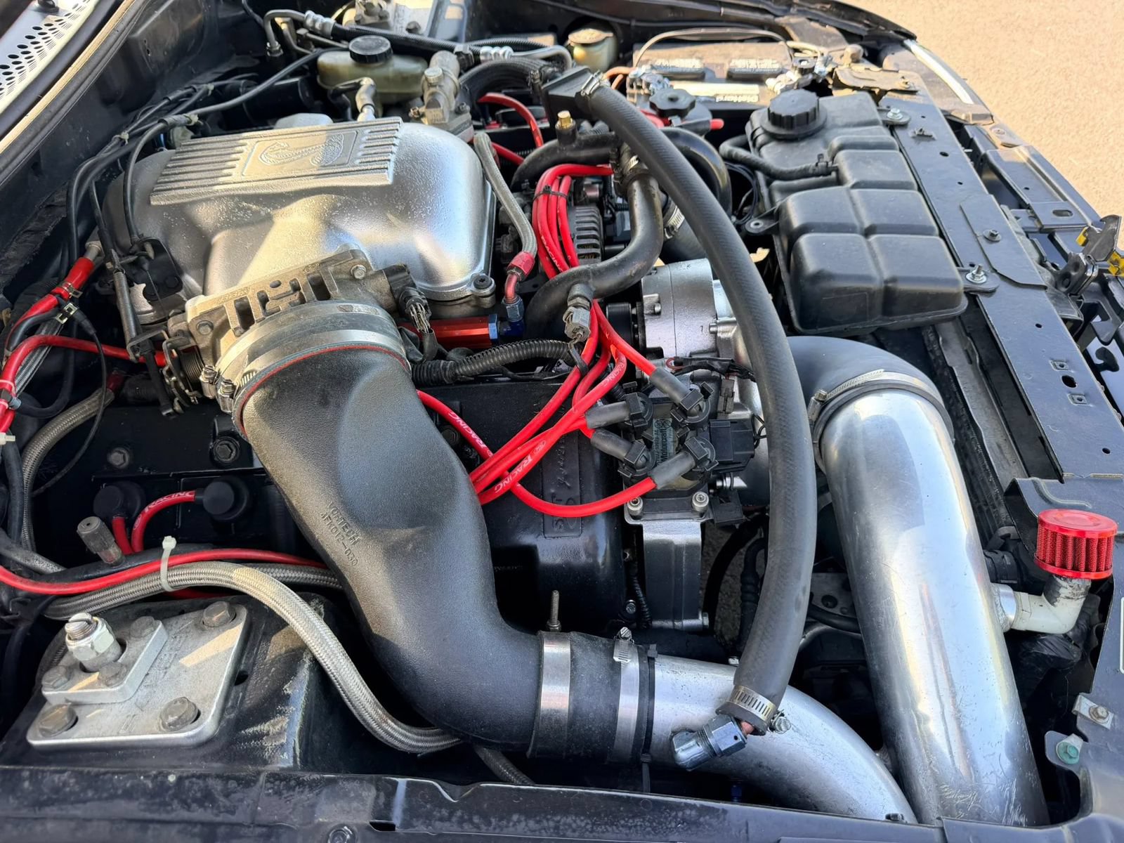 Used 1998 Ford Mustang Cobra RWD image 61