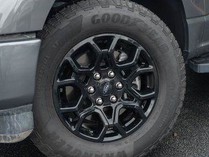 Used 2025 Ford F150 XLT w/ Equipment Group 302A MID