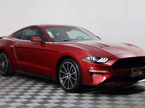 Used 2023 Ford Mustang Premium w/ Equipment Group 201A image 3