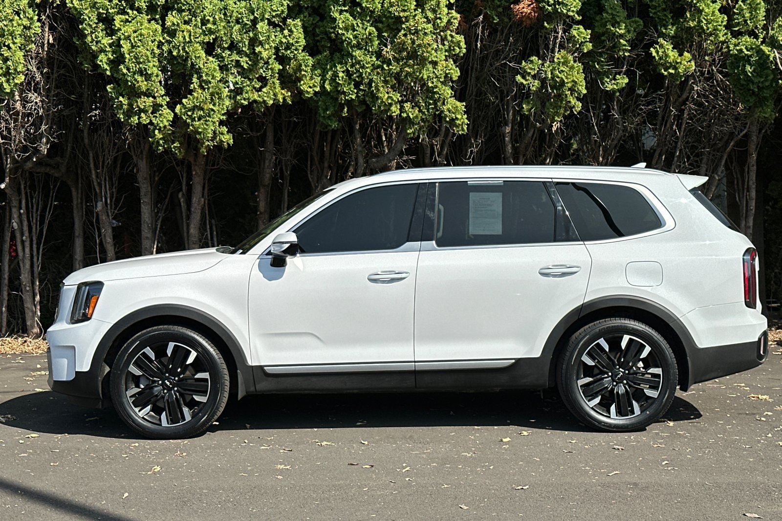 Certified 2025 Kia Telluride SX Prestige AWD/4WD image 7