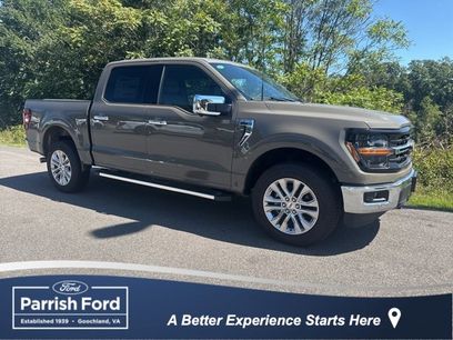 New 2025 Ford F150 XLT w/ Equipment Group 303A High