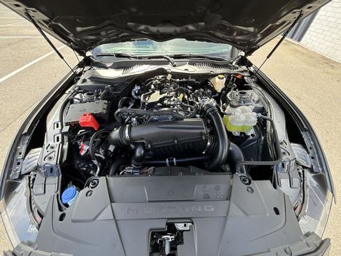 New 2026 Ford Mustang EcoBoost image 17