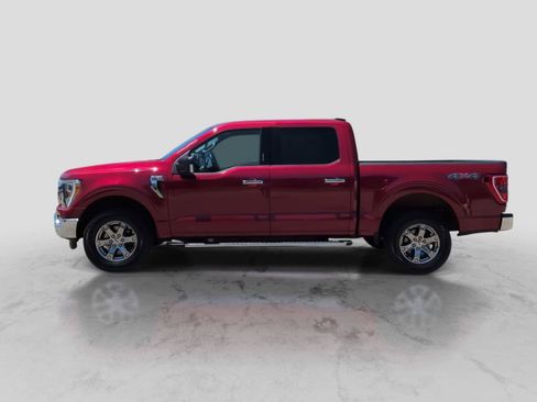 Used 2021 Ford F150 XLT w/ Equipment Group 302A High AWD/4WD image 5