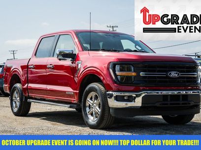 Used 2024 Ford F150 XLT w/ Equipment Group 302A MID