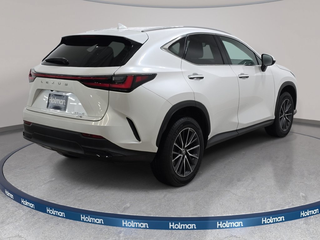 Used 2024 Lexus NX 350 AWD w/ Cold Area Package image 6