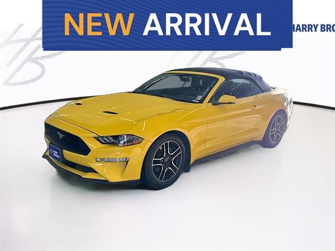 Used 2018 Ford Mustang Premium w/ Equipment Group 201A RWD image 1