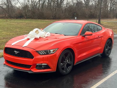 Used 2015 Ford Mustang Premium image 1