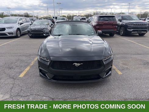 Used 2024 Ford Mustang Premium image 2