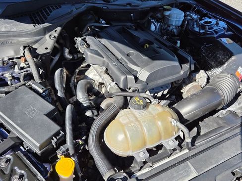 Used 2019 Ford Mustang Coupe image 19