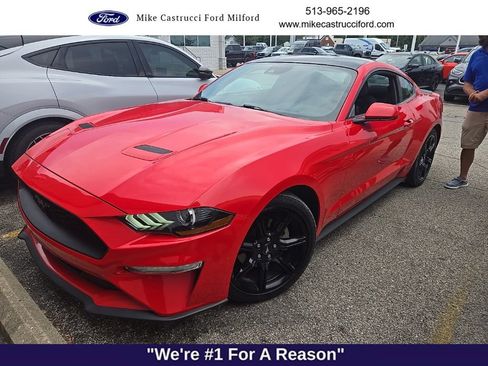 Used 2019 Ford Mustang Coupe w/ Equipment Group 101A RWD image 1