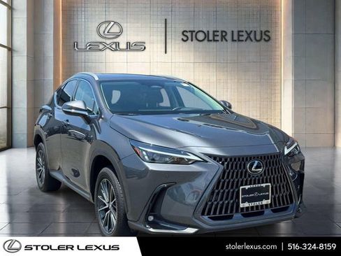Used 2024 Lexus NX 350h AWD image 1