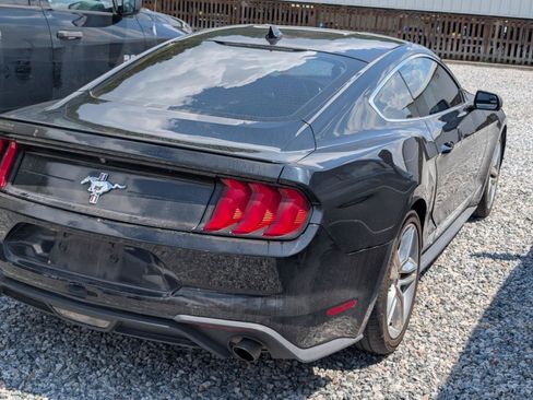 Used 2020 Ford Mustang Premium w/ Pony Package RWD image 5