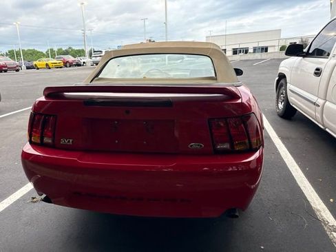 Used 1999 Ford Mustang Cobra RWD image 7