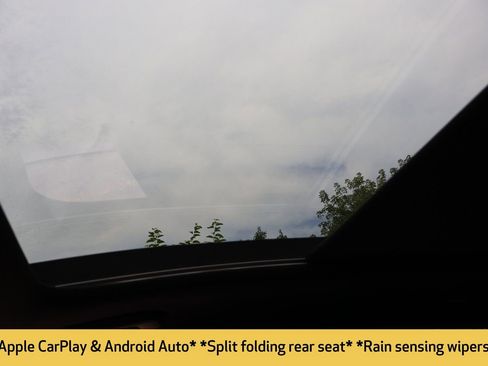 Used 2024 Kia Sportage X-Line image 14