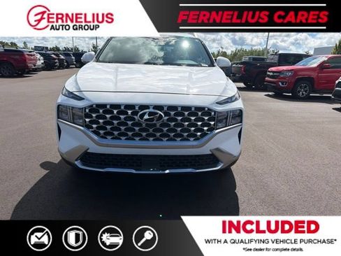 Used 2023 Hyundai Santa Fe Blue AWD/4WD image 7