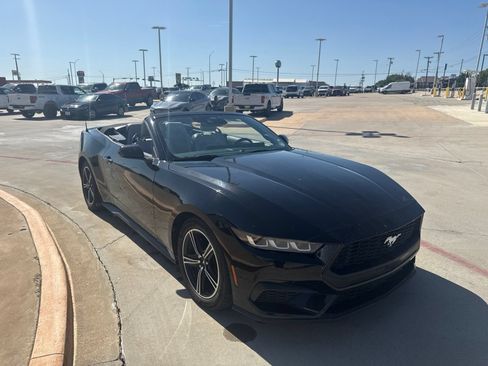 Used 2024 Ford Mustang Premium RWD image 14