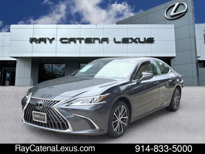 Certified 2024 Lexus ES 250 w/ Premium Package