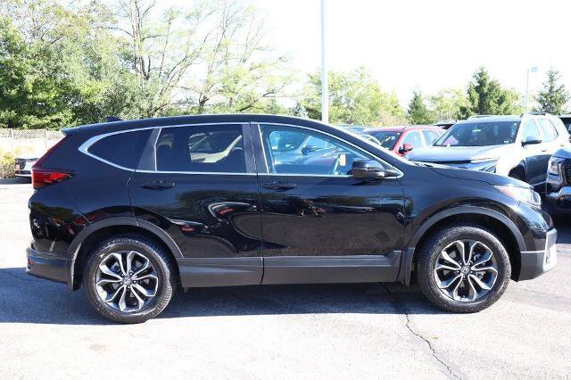 Used 2020 Honda CR-V EX-L image 5