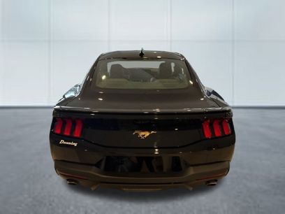 New 2026 Ford Mustang Premium
