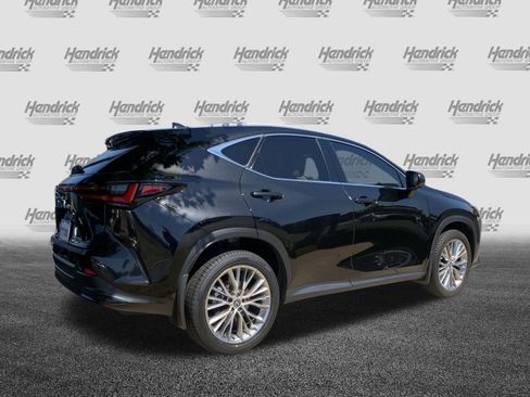 Used 2025 Lexus NX 350h AWD w/ Accessory Package (2T) image 10