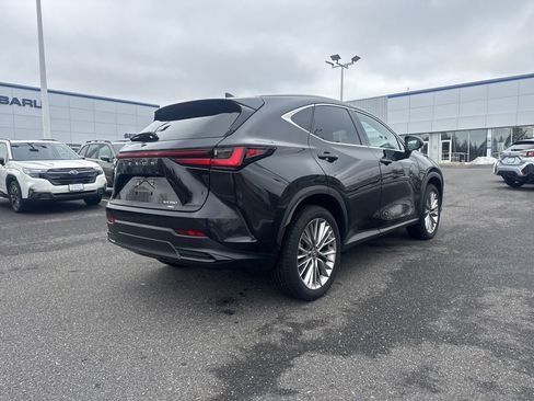 Used 2025 Lexus NX 350 AWD w/ Accessory Package (2T) image 15