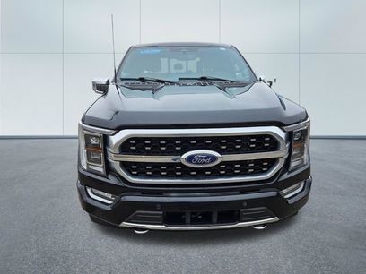 Used 2023 Ford F150 Platinum w/ FX4 Off-Road Package