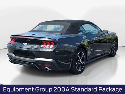 Used 2025 Ford Mustang Premium