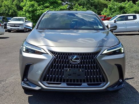 Used 2024 Lexus NX 350 AWD w/ Cold Area Package image 2