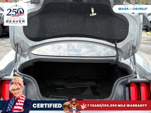 Used 2021 Ford Mustang GT w/ Equipment Group 301A RWD image 11