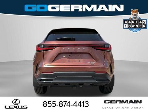 Used 2025 Lexus NX 350h AWD w/ Luxury Package image 7