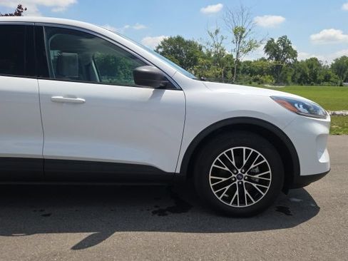 Used 2020 Ford Escape SE FWD image 4