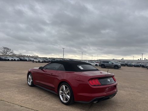 Used 2020 Ford Mustang Premium w/ Pony Package image 19