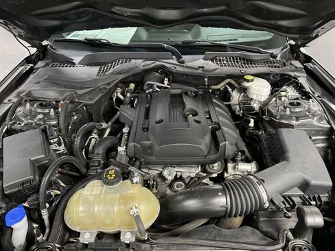 Used 2019 Ford Mustang Coupe w/ Black Accent Package RWD image 28