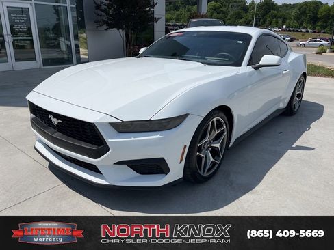 Used 2025 Ford Mustang Coupe RWD image 1