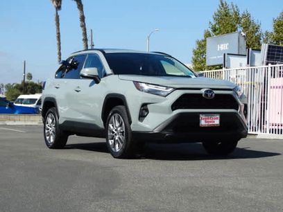 Certified 2023 Toyota RAV4 XLE Premium