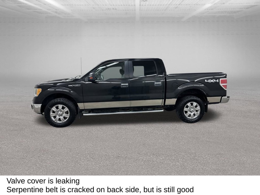 Used 2010 Ford F150 XLT AWD/4WD image 8