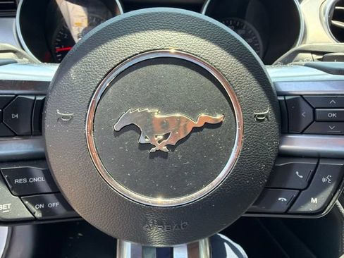 Used 2019 Ford Mustang Premium RWD image 15