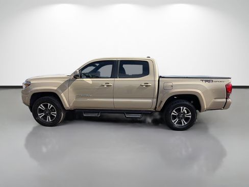 Used 2019 Toyota Tacoma TRD Sport RWD image 6