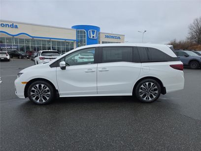 New 2026 Honda Odyssey Elite