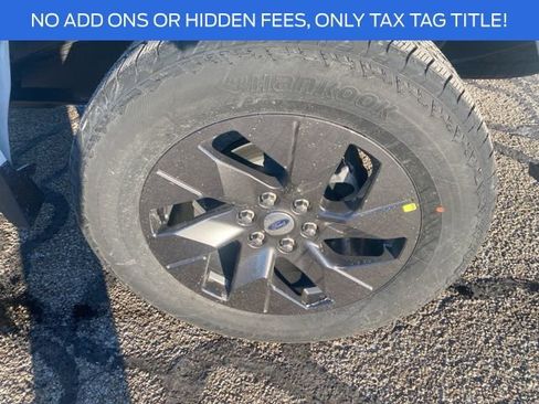 New 2025 Ford F150 STX w/ Equipment Group 200A image 7