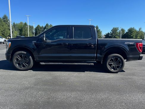 Used 2021 Ford F150 XLT w/ Equipment Group 302A High AWD/4WD image 2