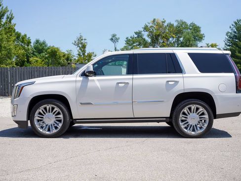 Used 2020 Cadillac Escalade Platinum AWD/4WD image 6