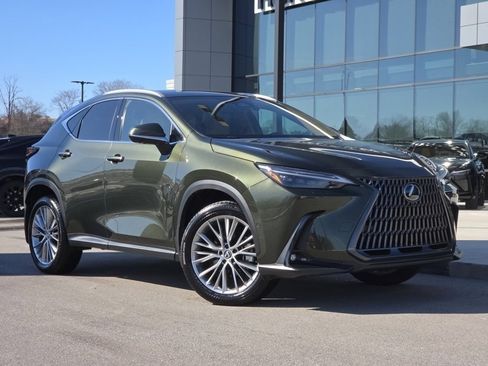 Certified 2025 Lexus NX 300h AWD w/ Cold Area Package image 2