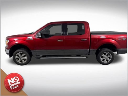 Used 2019 Ford F150 XLT w/ Equipment Group 302A Luxury AWD/4WD image 7