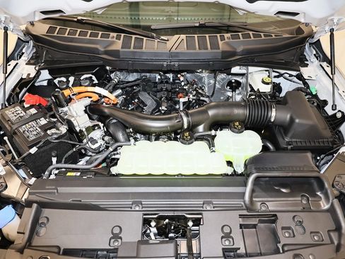 New 2025 Ford F150 XLT w/ Equipment Group 302A MID image 32